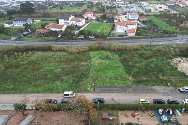 dji_fly_20250110_115604_123_1736510807733_photo