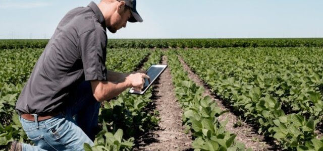 17b301a9eaaea28033c8225451a773ca_l