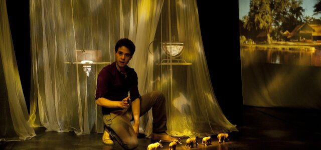 a_caminhada_dos_elefantes