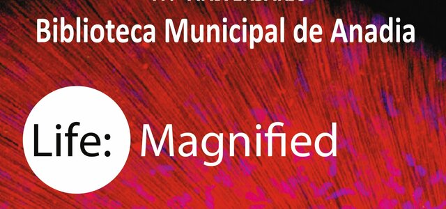 exposicao_vida_ampliada_bma