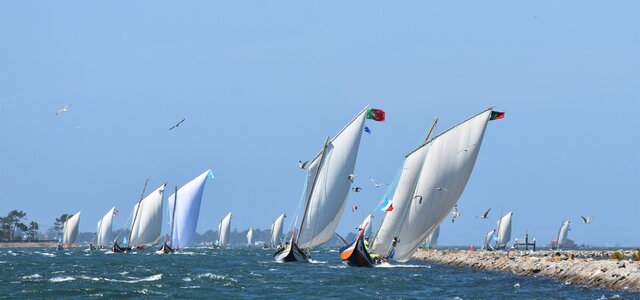 507894982_1160524652768748_739130455917597309_n