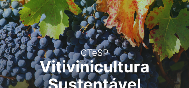ctesp___vitivinicultura_sustentavel