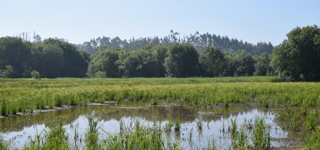 voluntariado_na_pateira