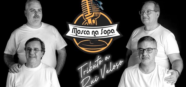 528083850_1187611913393355_462005788590397562_n