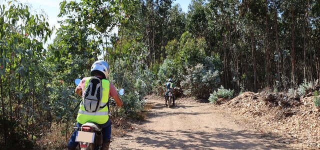 vigilancia_movel_floresta1