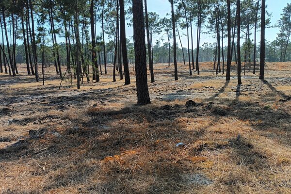 thumbnail_20250806_171919