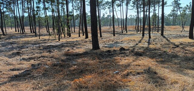 thumbnail_20250806_171919