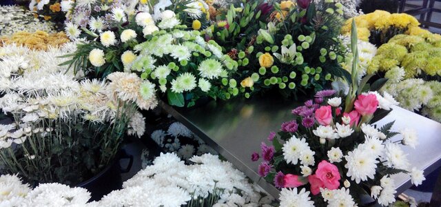 mercado_flores_anadia