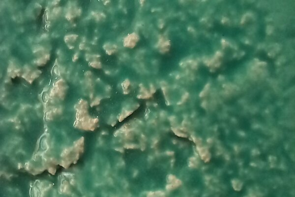 cartaz_ecos_fissuras_e_mundos_nas_maos_ana_amaral