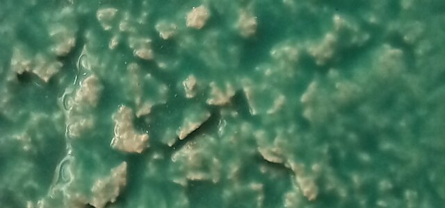 cartaz_ecos_fissuras_e_mundos_nas_maos_ana_amaral