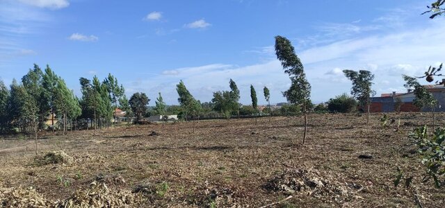 img_20221018_wa0003_1_1024_2500