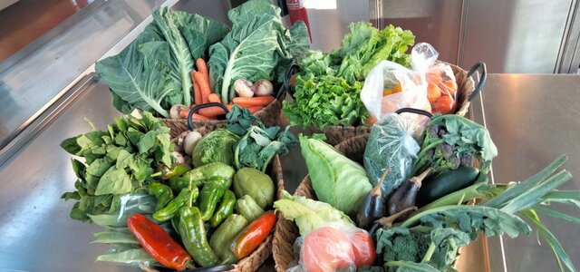 campanha_fruta_feira