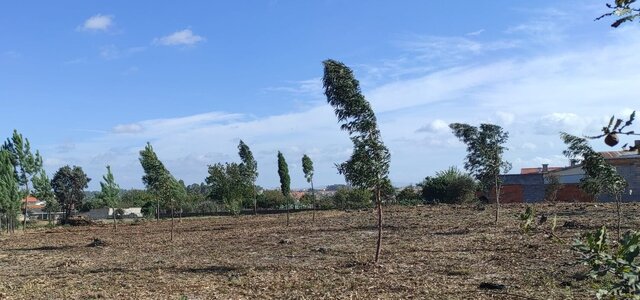 gestao_de_combustivel_edificados