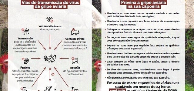 gripe_aviaria_cartaz_1_1024_2500