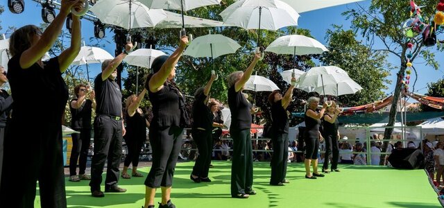 festival_cabelos_brancos__1_