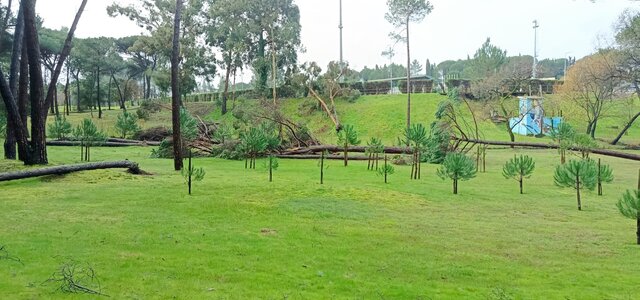 parque_pinheiros_mansos_kristin