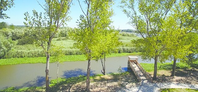 parque_do_carregal___eixo