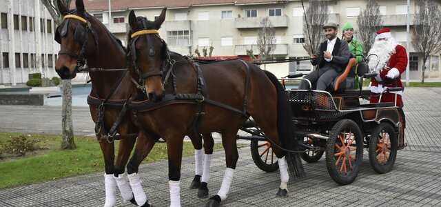 49140179_1985002631578069_2296359674179485696_o