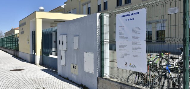 55698528_2115791035165894_4057525470764204032_o