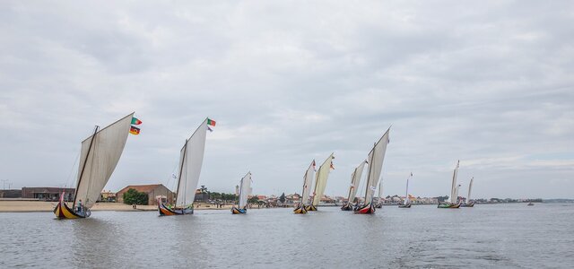 65758549_2274328352645494_5926280923963195392_o