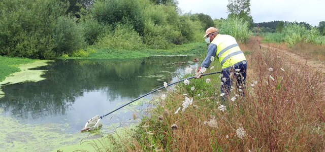 servicos_da_autarquia_retiram_peixes_mortos_do_rio_certima