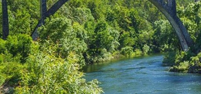 co_1042018___app_municipio_sever_do_vouga