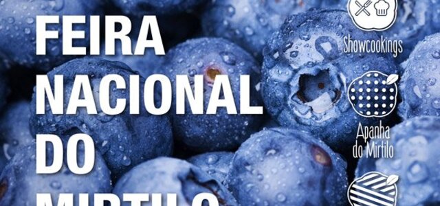 feira_mirtilo_flyer