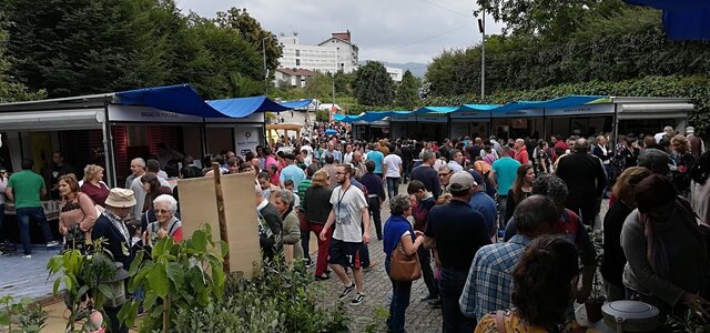 co_352019___feira_do_mirtilo__1_