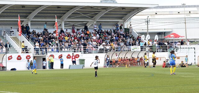 co_552019___mirtilo_cup