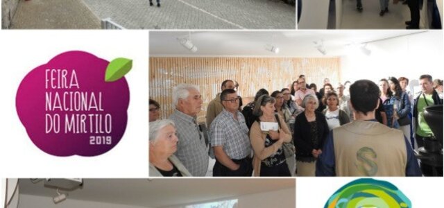 co_562019___museu_feira_mirtilo