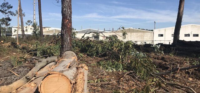 gestao_faixas_combustivel