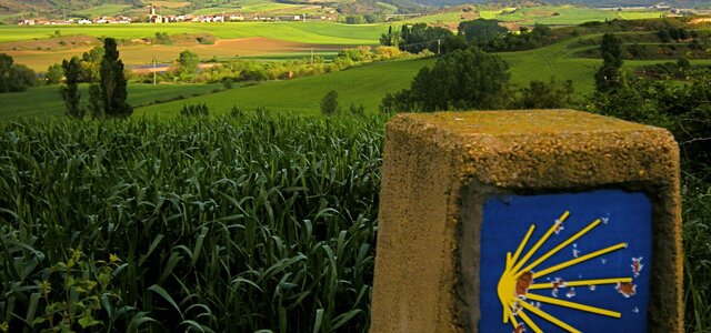walking_the_camino