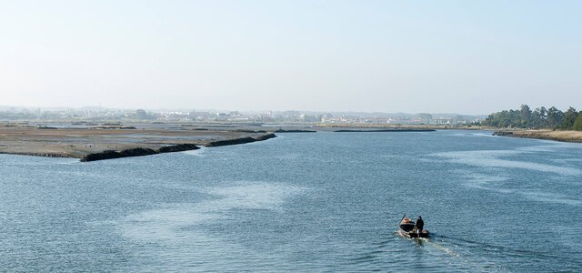 54255027_10158319845464408_4954441824740573184_o