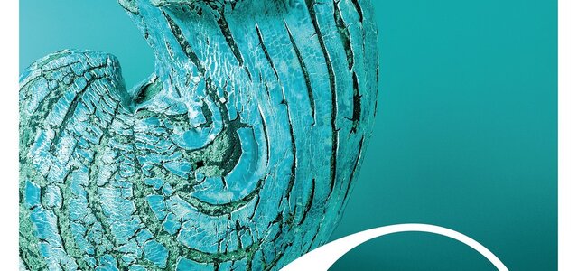 6961_af_cartaz_geral_xiv_bicaa_redes_sociais