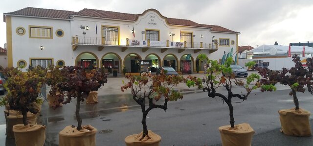 nws_2019_342_1101_tur_fgastsant