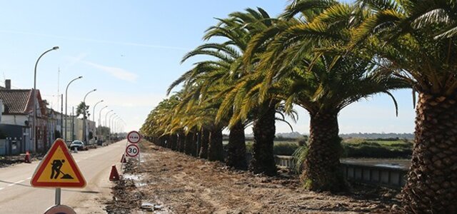 capa_bm_nw_nov019_02