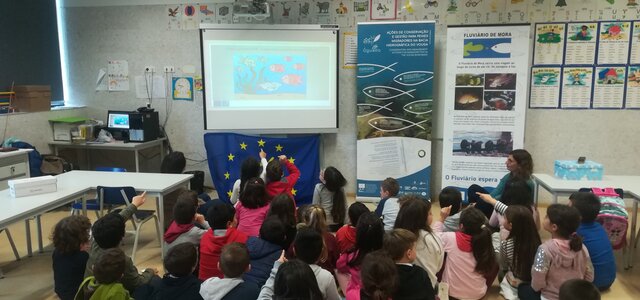 img_20191213_152712_proposta4