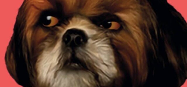 nws_2020_007_0111_cult_baleixo