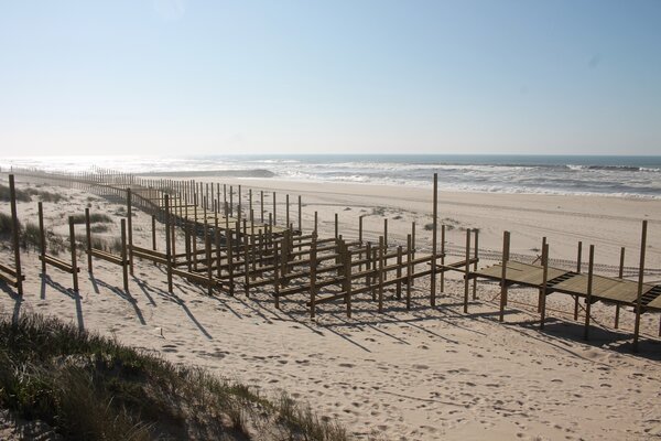 88166287_2737844399627218_3377390388393279488_o