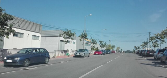 nws_2020_009_0212_patrim_ziparaimo