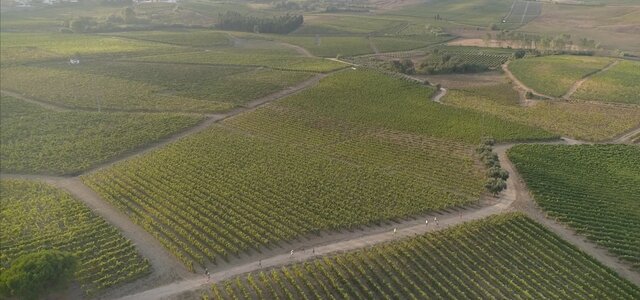 nws_2020_032_0322_desp_winerun