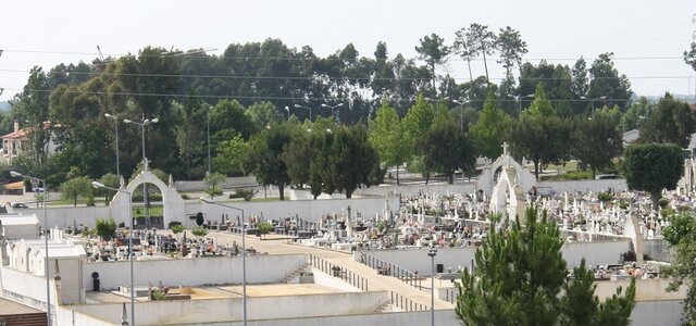 20190704_and_cemiterio_s