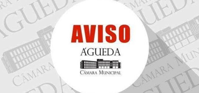 60392536_1058865374297595_4442793640762277888_n