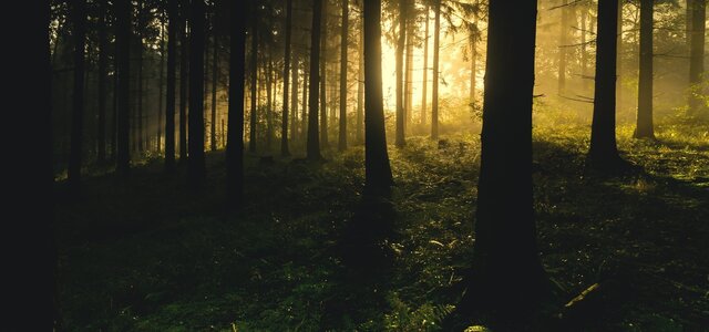 backlit_1867975_1920