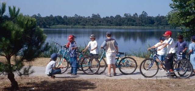 20120117123110265168