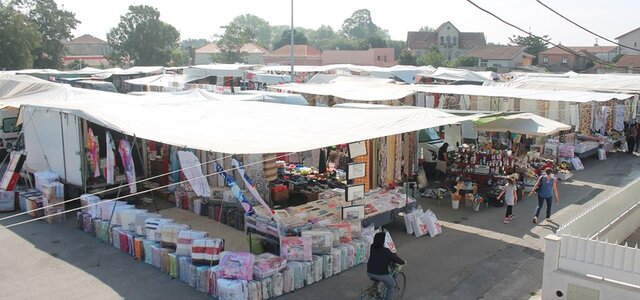 100624278_2938380506240272_7645790249355837440_o