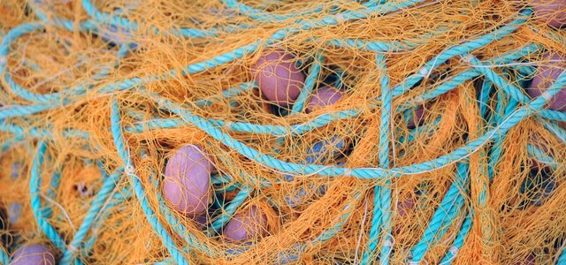 blue_and_pink_egg_on_blue_and_brown_rope_3655666