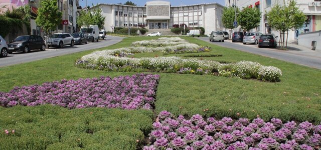 img_0869_1_1024_2500