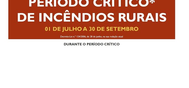 periodo_critico_incendios_rurais_20200629_det_2