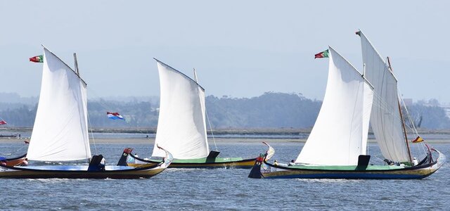 106756285_3038010099610645_4212811110177055676_o